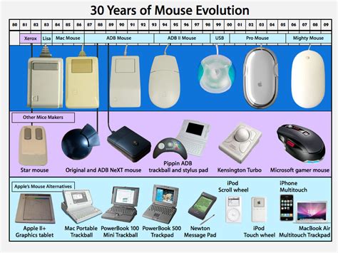 The Target Magic Mouse: A Versatile Tool for Digital Artists